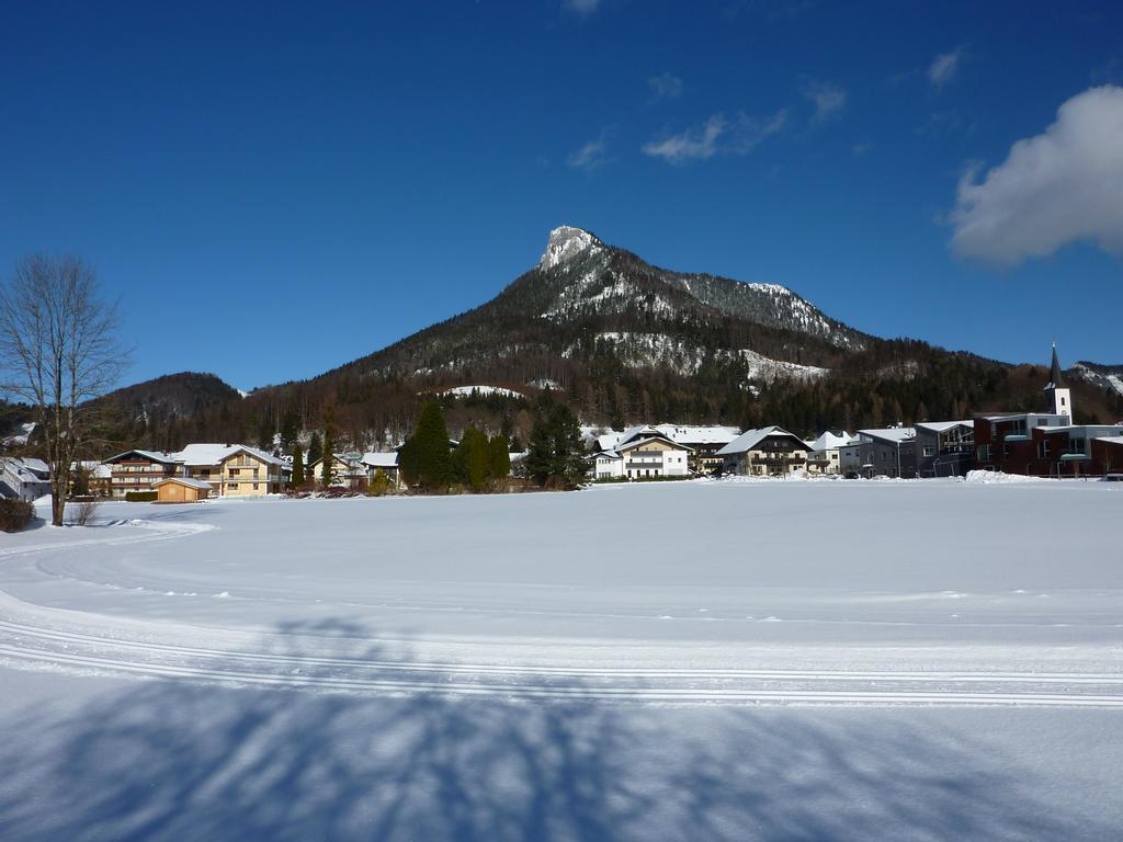 Haus Hedwig Daire Fuschl am See Dış mekan fotoğraf